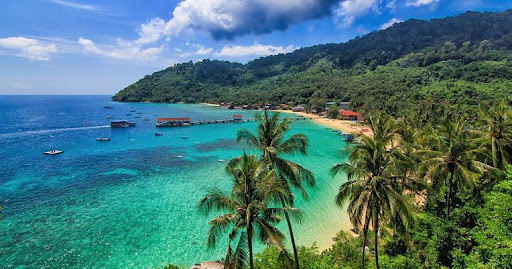 Kren Dekat Saya Terbaik di Kampung Tekek
