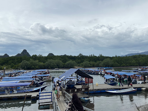 Mangrove Tour By Kilim Karst Geoforest Park, Private Snorkeling & Langkawi Fishing Trip