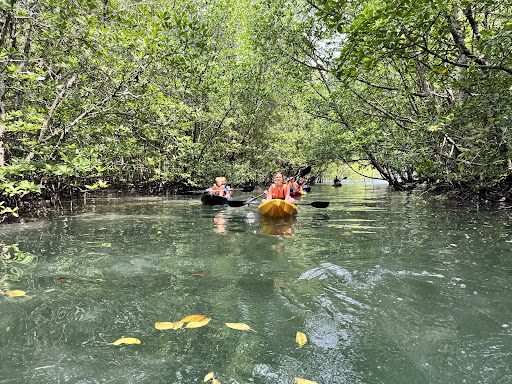 Xtreme Langkawi Mangrove Kayaking